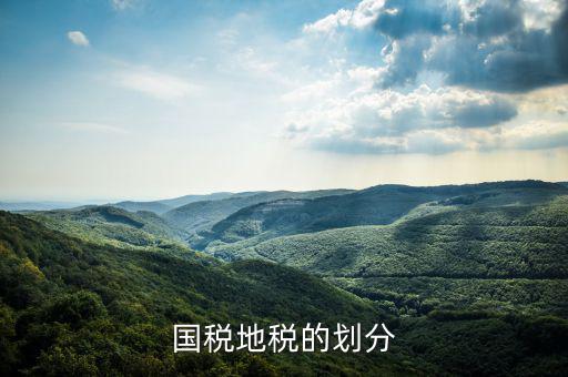 地稅分為什么種類，國稅地稅的劃分