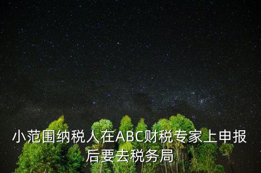 財稅專家是報什么稅，小范圍納稅人在ABC財稅專家上申報后要去稅務局