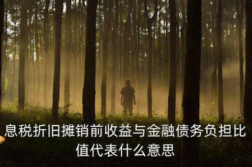 息稅折舊攤銷(xiāo)前收益與金融債務(wù)負(fù)擔(dān)比值代表什么意思
