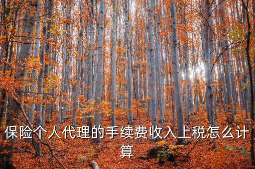保險代理員交什么稅，請問從車輛保險代理人的提承里扣的稅是什么稅啊
