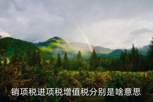 什么是銷項(xiàng)和進(jìn)項(xiàng)，進(jìn)項(xiàng)稅和銷項(xiàng)稅是什么意思