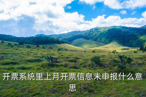 稅務(wù)未申報(bào)什么意思，開票系統(tǒng)里上月開票信息未申報(bào)什么意思