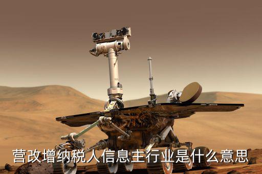 國(guó)稅主行業(yè)都是什么意思，營(yíng)改增納稅人信息主行業(yè)是什么意思
