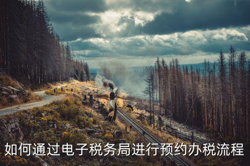 國(guó)稅局預(yù)約有什么，拿金稅盤(pán)去國(guó)稅前臺(tái)弄要預(yù)約嗎