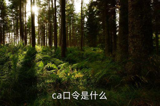 ca證書驗(yàn)證口令是什么，ca口令是什么