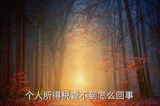個人所得稅扣減為什么查不到，個人所得稅為什么不能在網(wǎng)上查找