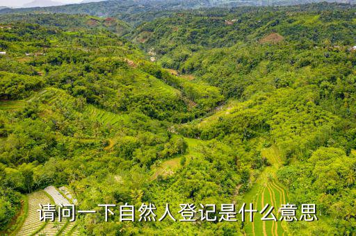 自然人登錄是什么，自然人密碼是什么