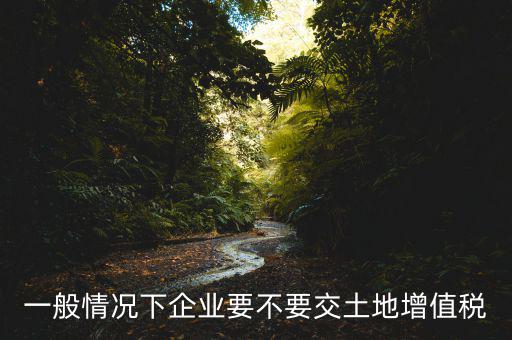 什么企業(yè)交土地增值稅，一般情況下企業(yè)要不要交土地增值稅