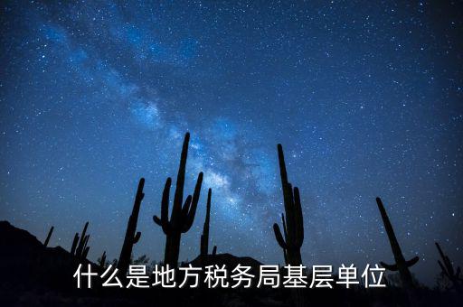 基層稅務(wù)機關(guān)是什么，什么是地方稅務(wù)局基層單位