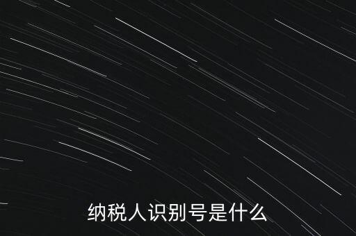 山西國稅納稅人識(shí)別號(hào)是什么，納稅人識(shí)別號(hào)是什么