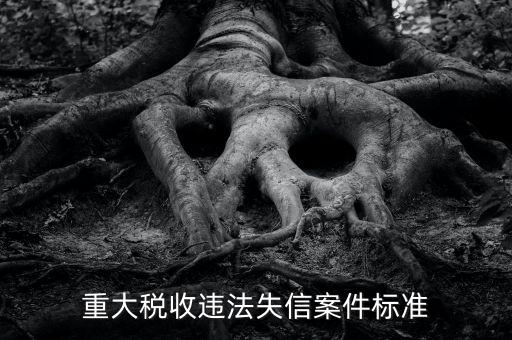 重大稅收違法是什么意思，實(shí)名辦稅黑名單納稅人是什么意思