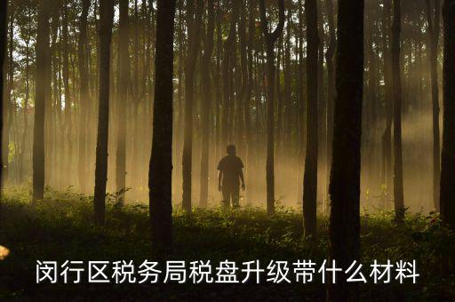 去升級稅控盤要帶什么，去國稅稅控盤升級需要帶哪些材料