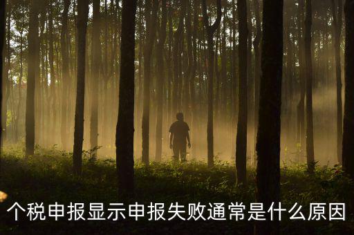 個稅申報系統(tǒng)為什么不能反饋，為什么個人所得稅申報以后反饋信息失敗