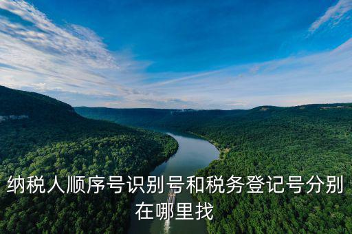 金稅扣繳義務人編碼是什么，扣繳義務人編碼是什么
