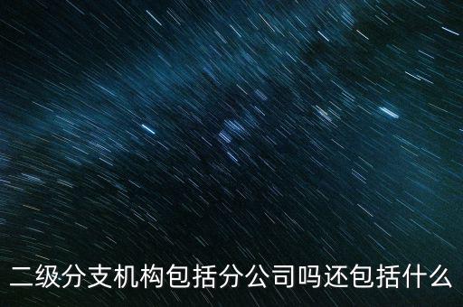 什么是二級分支機構，現(xiàn)在分公司要辦稅務登記證但是我想問一下二級分機構指的是
