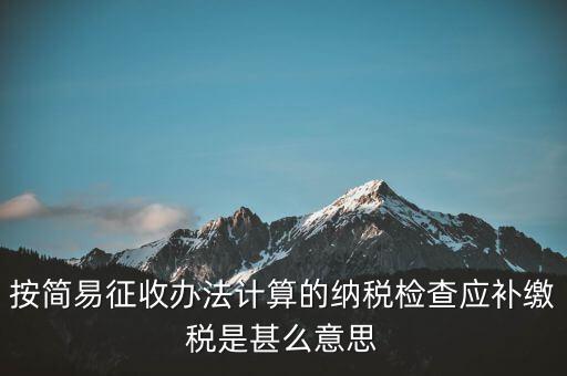 簡(jiǎn)易征收什么意思，按簡(jiǎn)易征收辦法計(jì)算的納稅檢查應(yīng)補(bǔ)繳稅是甚么意思