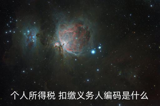 個稅稅種代碼是什么，個人所得稅編碼是多少怎樣填寫