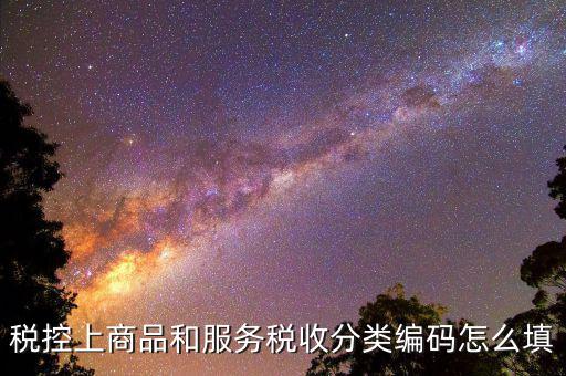 稅控上商品和服務(wù)稅收分類(lèi)編碼怎么填