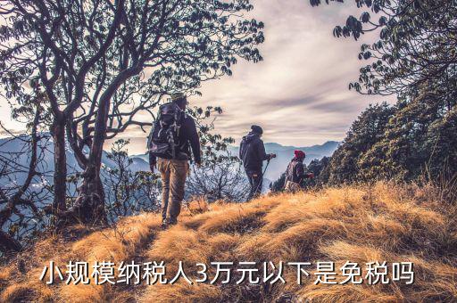 3萬(wàn)以下免稅是什么意思，小規(guī)模納稅人3萬(wàn)元以下是免稅嗎