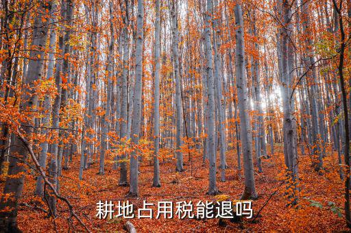 耕地占用稅什么情況可以退，占用耕地罰款后拆遷還能退嗎