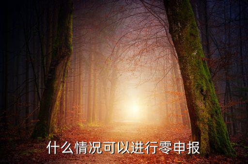 什么情況下可以一鍵零申報(bào)，什么情況可以進(jìn)行零申報(bào)