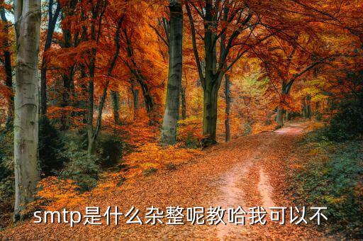 麥拓通訊是什么，麥拓廣告公司的面試測試是不是騙子公司