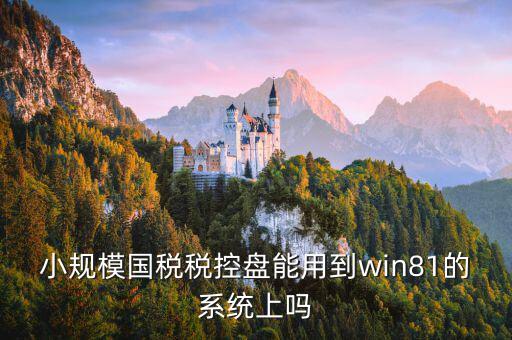 稅盤安裝支持什么系統(tǒng)下載，稅控發(fā)票開票軟件v2130170612能在win10上安裝嗎