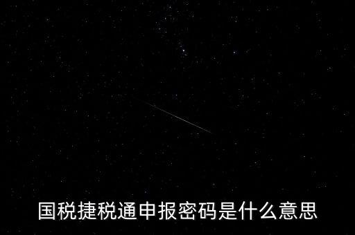 稅務(wù)軟件申報密碼是什么意思，納稅申報密碼是什么