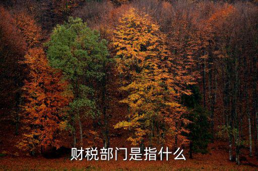 財(cái)稅征收保障網(wǎng)是什么，財(cái)稅部門是指什么