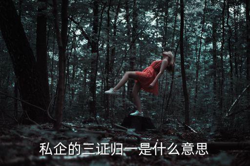 公司的三證合一是什么，什么是三證合一