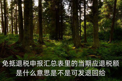 免抵退貨物應(yīng)退稅額是什么意思，免抵退應(yīng)退稅額是什么意思