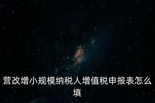 營(yíng)改增需要填什么表，營(yíng)改增小規(guī)模納稅人網(wǎng)上納稅申報(bào)需要填寫幾張表
