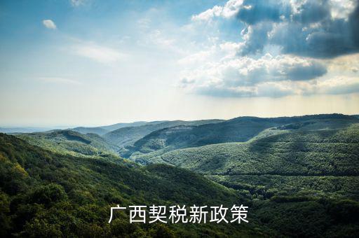 廣西的稅收什么時(shí)候?qū)嵭幸话阌?jì)稅，2022年的廣西稅率