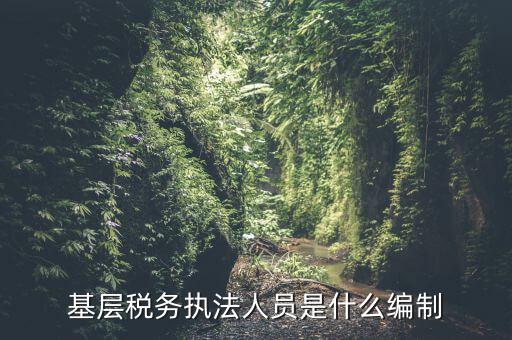 基層稅收?qǐng)?zhí)法干什么的，基層稅務(wù)執(zhí)法人員是什么編制