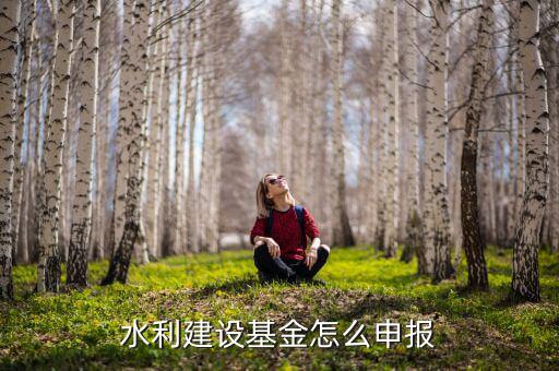 地方水利建設(shè)基金什么時間申報，水利建設(shè)基金怎么申報