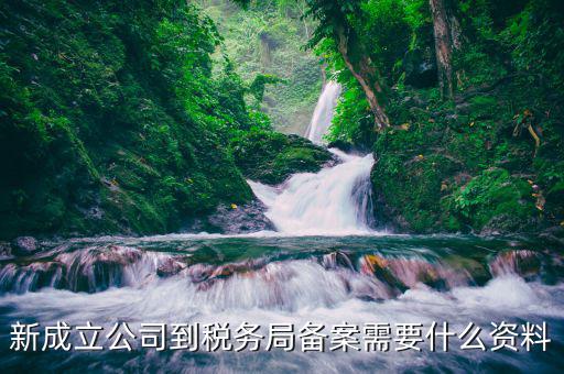 新成立公司到稅務局備案需要什么資料