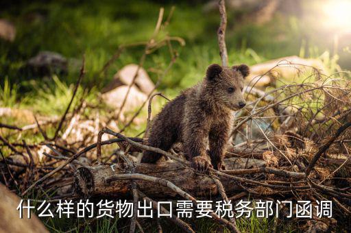 為什么要出口復(fù)函，國稅局函調(diào)后對方國稅局回復(fù)說貨物流常請問能否讓對方二次復(fù)