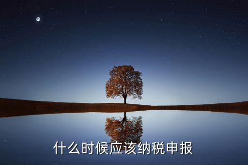 消費稅什么時候申報，什么時候應(yīng)該納稅申報