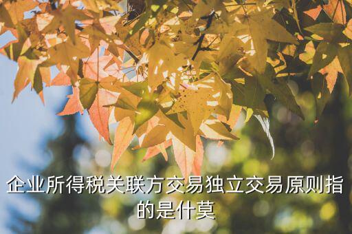 什么是合理商業(yè)目的，如何判斷企業(yè)實(shí)施的納稅籌劃不具有合理商業(yè)目的