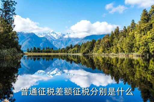 差額征收和簡(jiǎn)易征收有什么區(qū)別，什么是差額征收