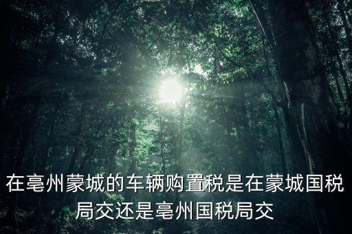 國(guó)稅局掛牌是什么意思，濮陽(yáng)摩托辦照