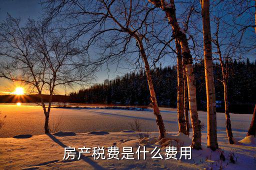 房產稅費是什么費用