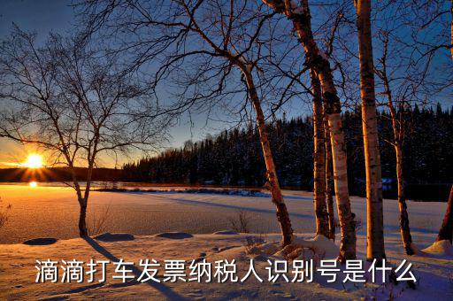 稅優(yōu)識別號是什么，滴滴打車發(fā)票納稅人識別號是什么