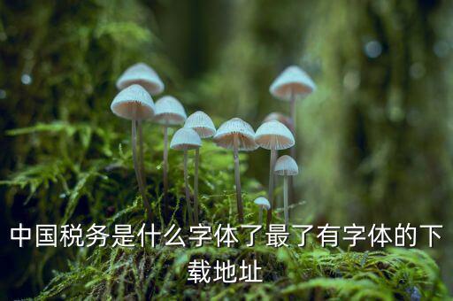 中國(guó)稅務(wù)是什么字體，中國(guó)稅務(wù)是什么字體了最了有字體的下載地址
