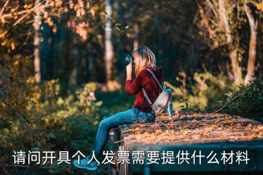 個(gè)人發(fā)票需要什么資料，個(gè)人購物開增值稅普通發(fā)票需要什么資料