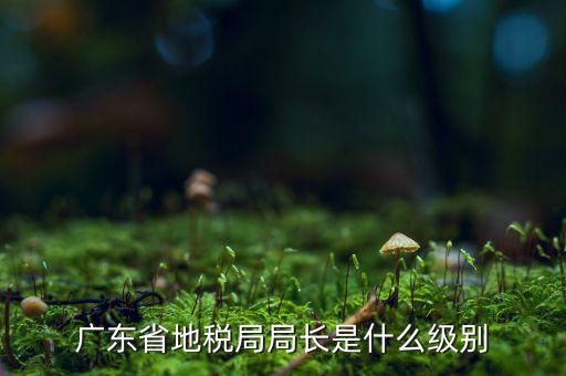 地稅局長是什么級(jí)別，廣東省地稅局局長是什么級(jí)別