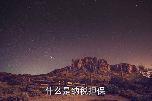納稅擔(dān)保人用來干什么的，什么是納稅擔(dān)保