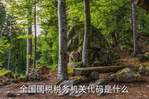 國稅的用戶代碼是什么，國稅局發(fā)票軟件里用戶代碼和密碼是什么