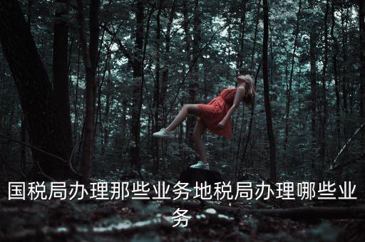 地稅辦理什么業(yè)務(wù)，國(guó)稅局辦理那些業(yè)務(wù)地稅局辦理哪些業(yè)務(wù)