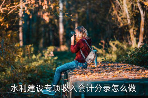 水利建設(shè)專項收入是什么，水利建設(shè)專項收入會計分錄怎么做